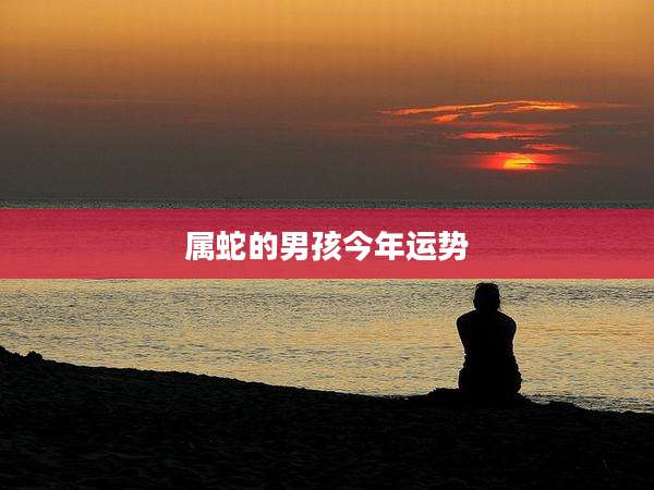 属蛇的男孩今年运势