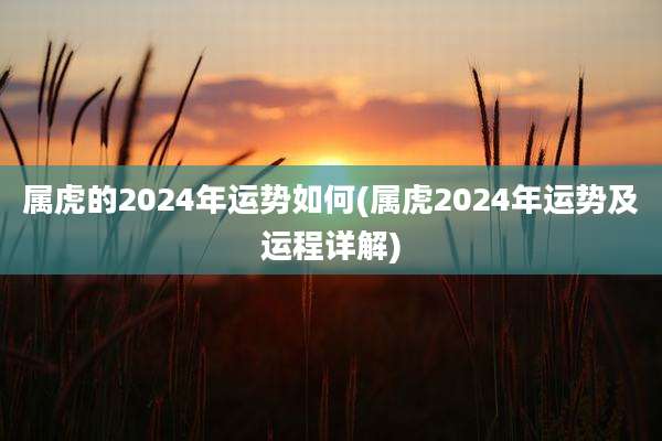 属虎的2024年运势如何(属虎2024年运势及运程详解)