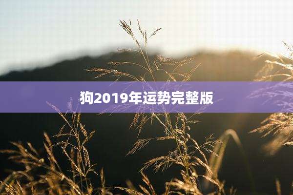 狗2019年运势完整版