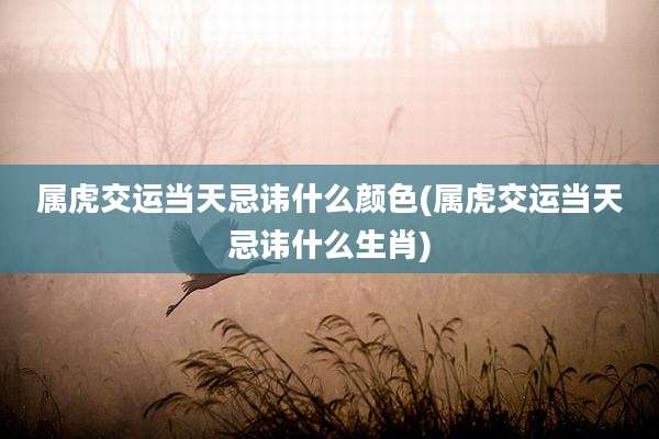 属虎交运当天忌讳什么颜色(属虎交运当天忌讳什么生肖)