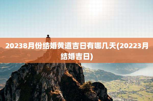 20238月份结婚黄道吉日有哪几天(20223月结婚吉日)