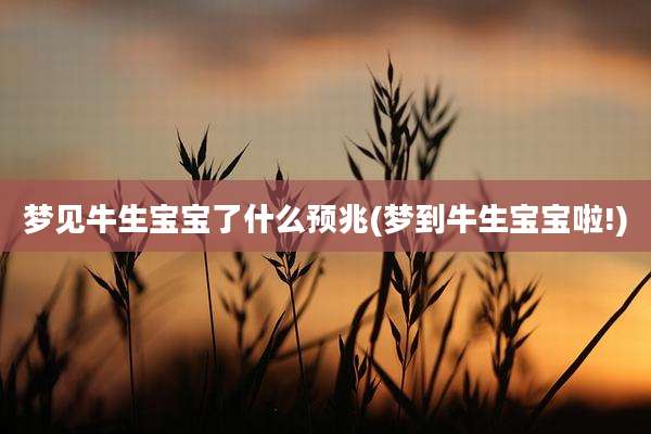 梦见牛生宝宝了什么预兆(梦到牛生宝宝啦!)