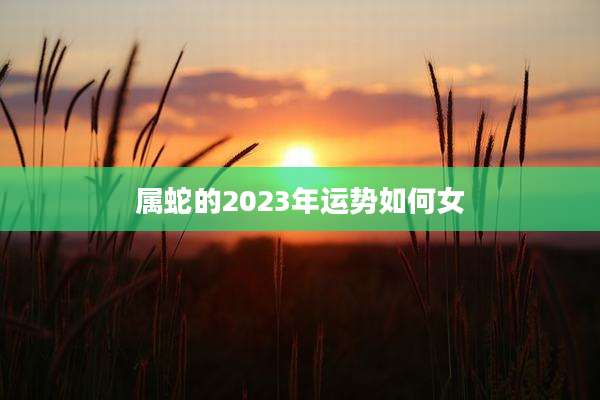 属蛇的2023年运势如何女