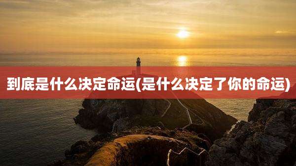 到底是什么决定命运(是什么决定了你的命运)