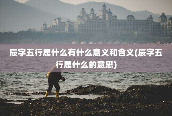 辰字五行属什么有什么意义和含义(辰字五行属什么的意思)
