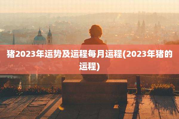 猪2023年运势及运程每月运程(2023年猪的运程)