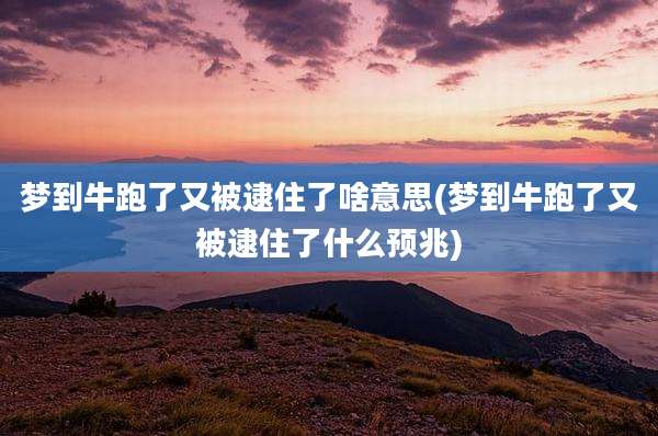 梦到牛跑了又被逮住了啥意思(梦到牛跑了又被逮住了什么预兆)