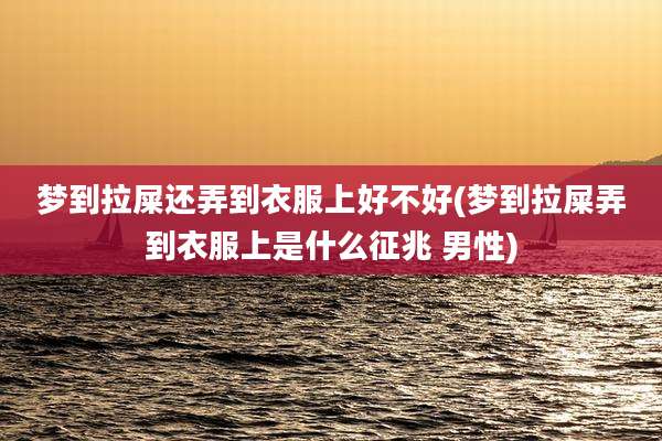 梦到拉屎还弄到衣服上好不好(梦到拉屎弄到衣服上是什么征兆 男性)