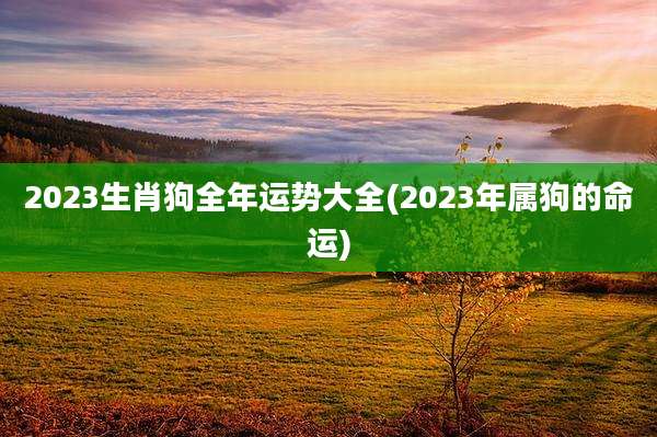 2023生肖狗全年运势大全(2023年属狗的命运)