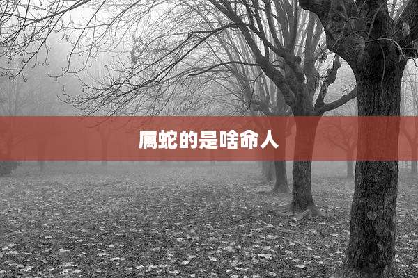 属蛇的是啥命人