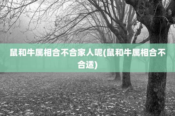 鼠和牛属相合不合家人呢(鼠和牛属相合不合适)