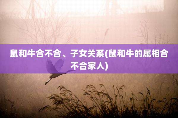 鼠和牛合不合、子女关系(鼠和牛的属相合不合家人)