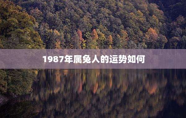 1987年属兔人的运势如何