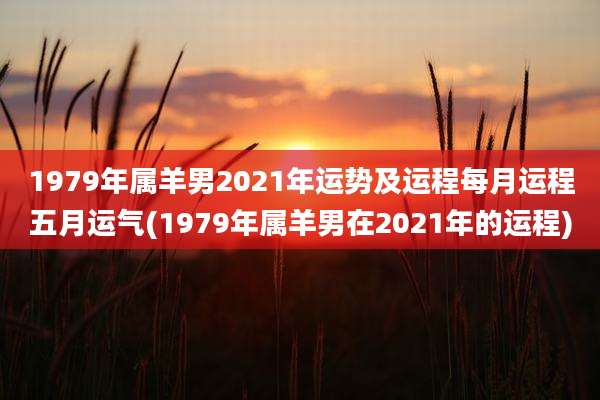 1979年属羊男2021年运势及运程每月运程五月运气(1979年属羊男在2021年的运程)