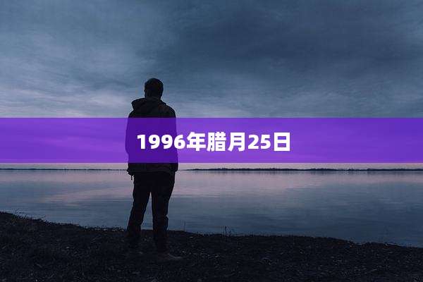 1996年腊月25日
