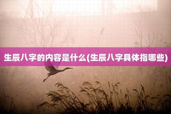 生辰八字的内容是什么(生辰八字具体指哪些)