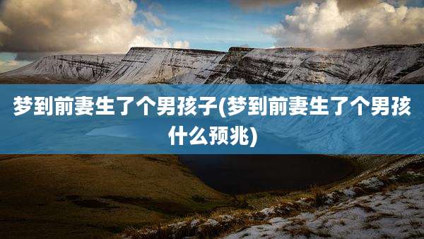 梦到前妻生了个男孩子(梦到前妻生了个男孩什么预兆)