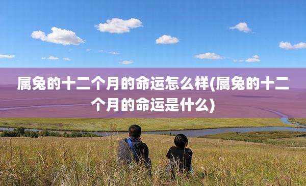 属兔的十二个月的命运怎么样(属兔的十二个月的命运是什么)