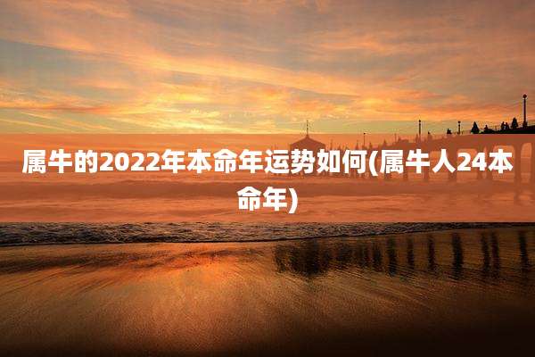 属牛的2022年本命年运势如何(属牛人24本命年)