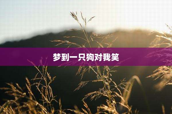 梦到一只狗对我笑