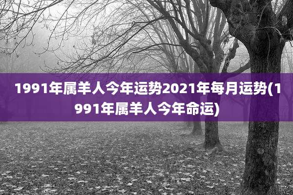1991年属羊人今年运势2021年每月运势(1991年属羊人今年命运)