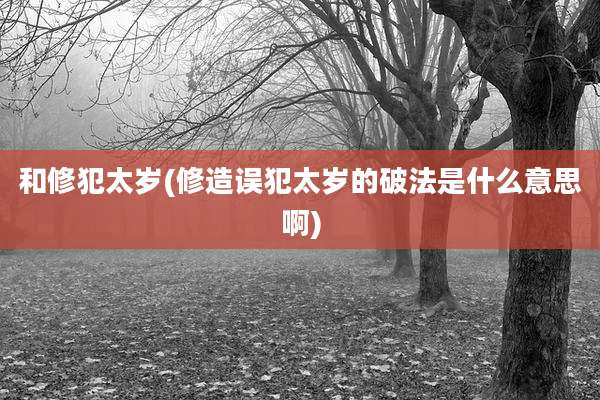 和修犯太岁(修造误犯太岁的破法是什么意思啊)