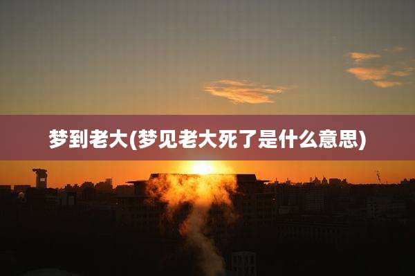 梦到老大(梦见老大死了是什么意思)