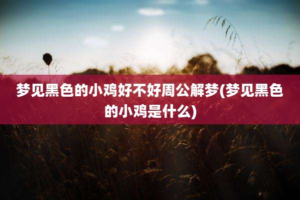 梦见黑色的小鸡好不好周公解梦(梦见黑色的小鸡是什么)