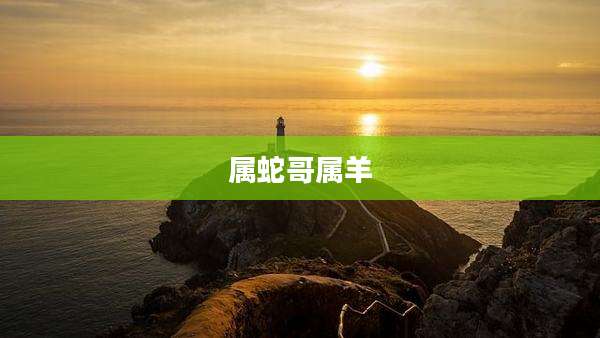 属蛇哥属羊