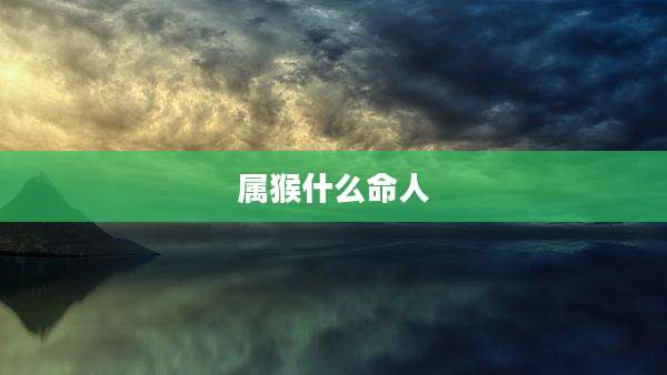 属猴什么命人