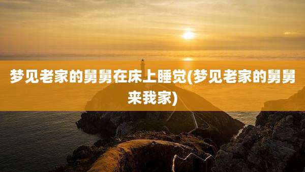 梦见老家的舅舅在床上睡觉(梦见老家的舅舅来我家)