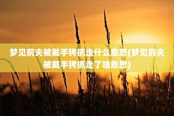 梦见前夫被戴手铐抓走什么意思(梦见前夫被戴手铐抓走了啥意思)