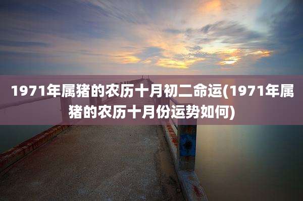 1971年属猪的农历十月初二命运(1971年属猪的农历十月份运势如何)