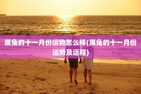 属兔的十一月份运势怎么样(属兔的十一月份运势及运程)