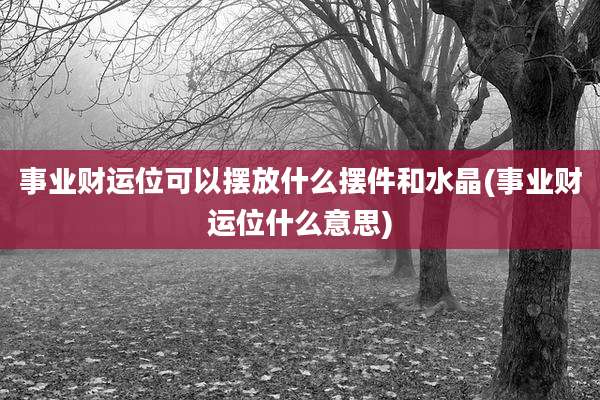 事业财运位可以摆放什么摆件和水晶(事业财运位什么意思)