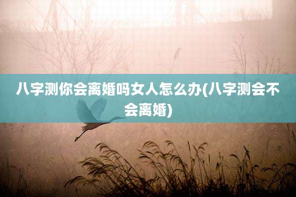 八字测你会离婚吗女人怎么办(八字测会不会离婚)