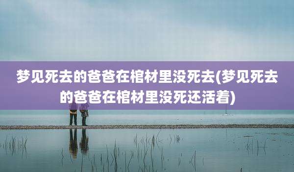 梦见死去的爸爸在棺材里没死去(梦见死去的爸爸在棺材里没死还活着)
