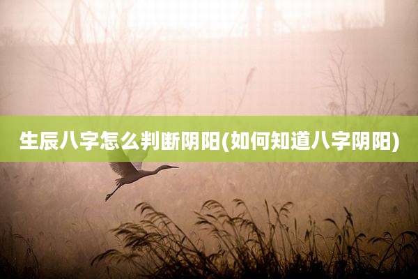 生辰八字怎么判断阴阳(如何知道八字阴阳)