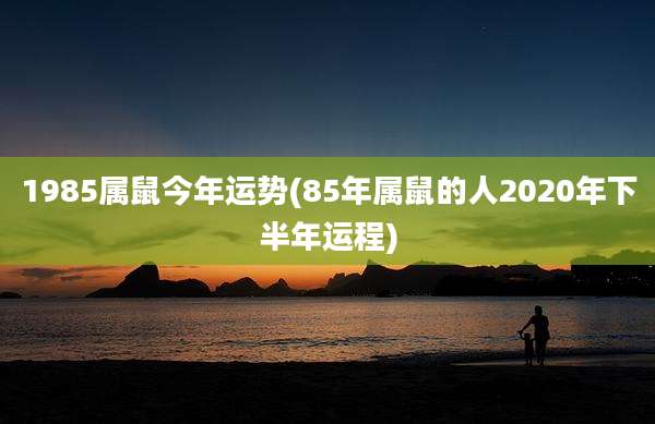 1985属鼠今年运势(85年属鼠的人2020年下半年运程)