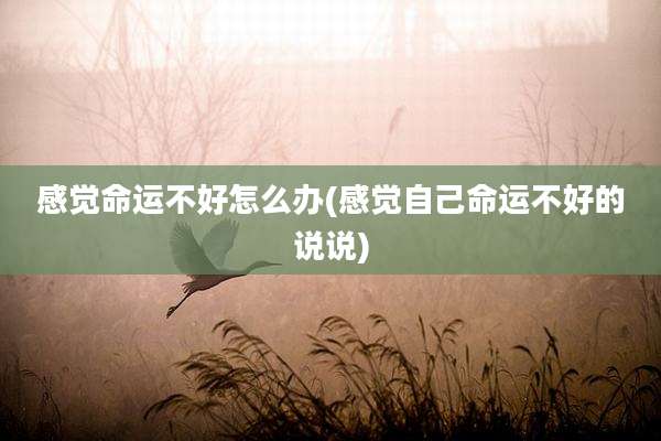 感觉命运不好怎么办(感觉自己命运不好的说说)