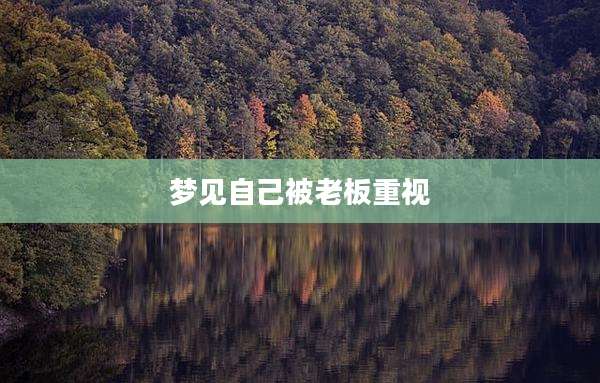 梦见自己被老板重视