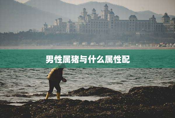 男性属猪与什么属性配