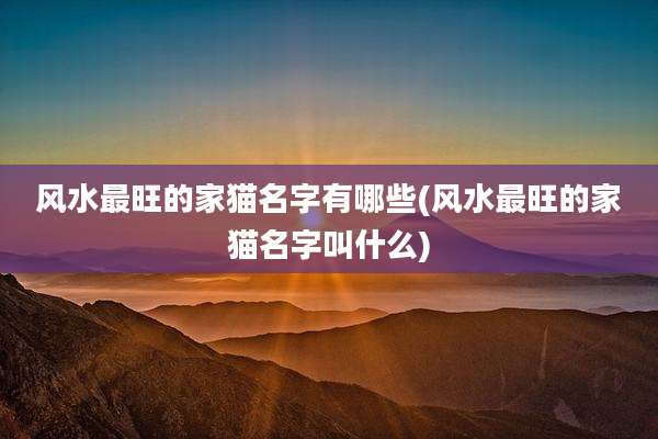 风水最旺的家猫名字有哪些(风水最旺的家猫名字叫什么)