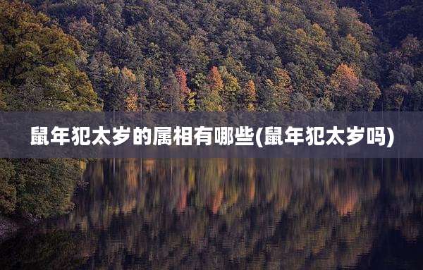 鼠年犯太岁的属相有哪些(鼠年犯太岁吗)