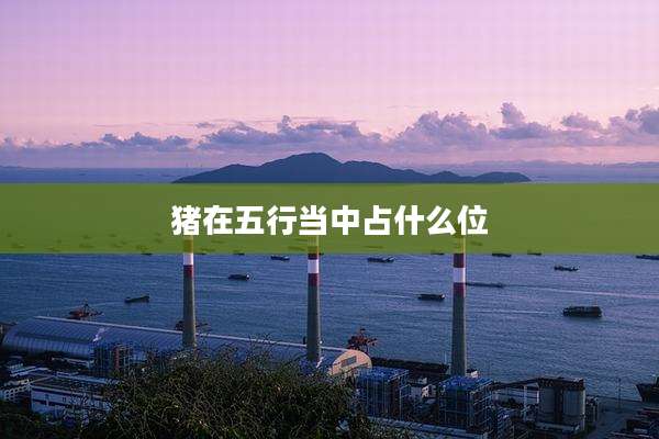 猪在五行当中占什么位