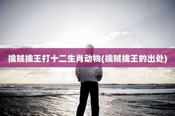 擒贼擒王打十二生肖动物(擒贼擒王的出处)