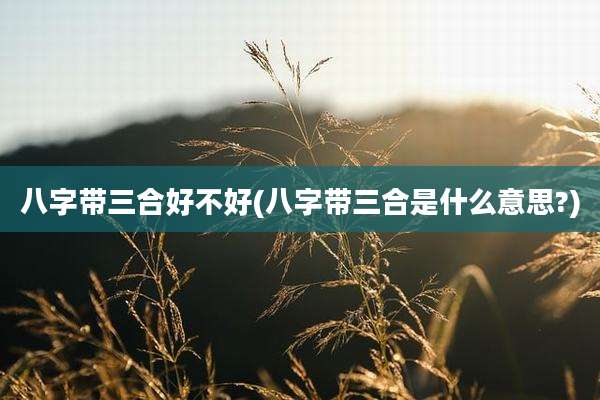 八字带三合好不好(八字带三合是什么意思?)