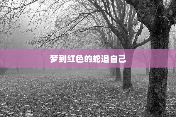 梦到红色的蛇追自己