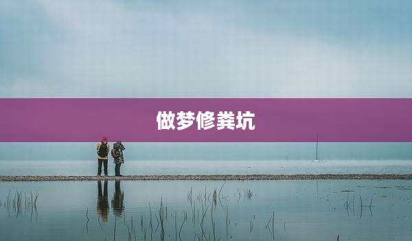 做梦修粪坑