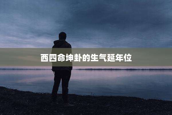西四命坤卦的生气延年位